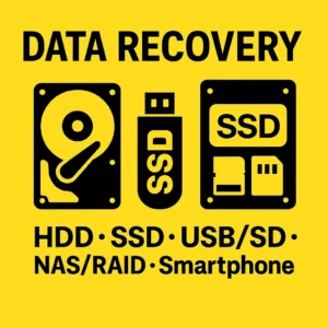 data-recovery-techmann